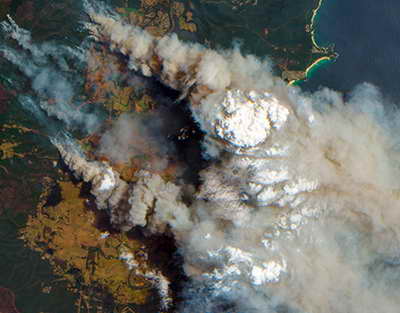 Россияне активно скупают доллары